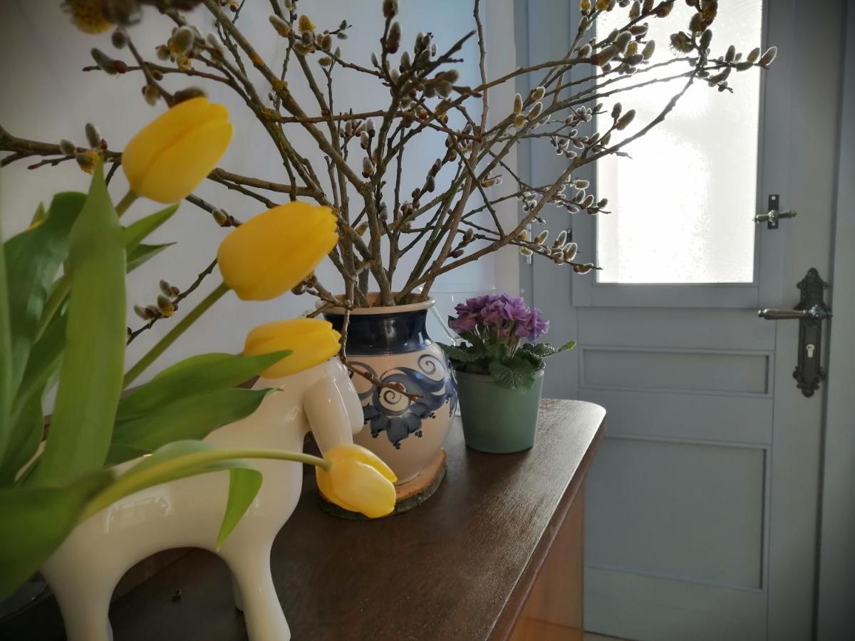 Apartment Alte Apotheke Rossdorf (Thuringia)